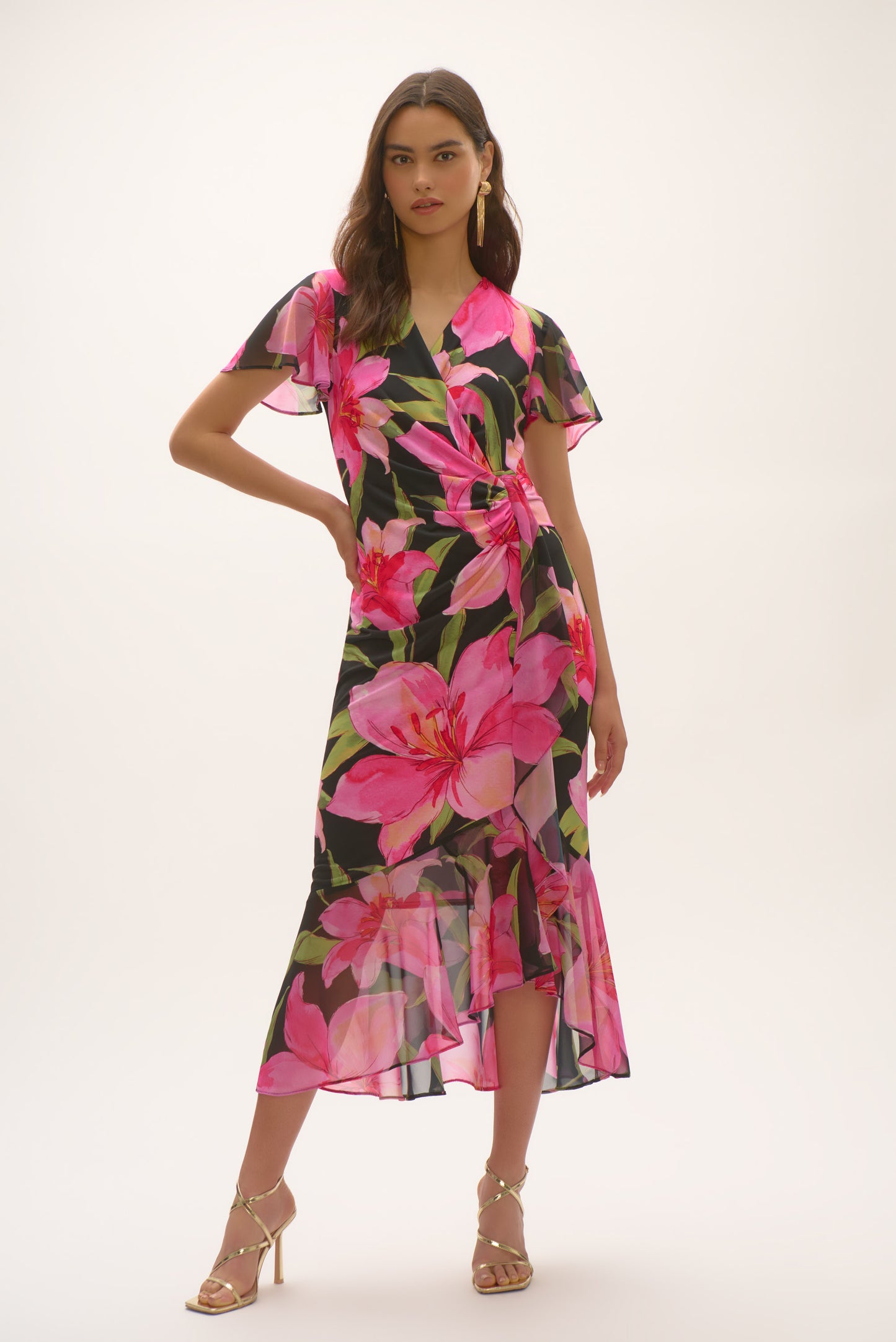 Joseph Ribkoff Lily Print Dress 252714