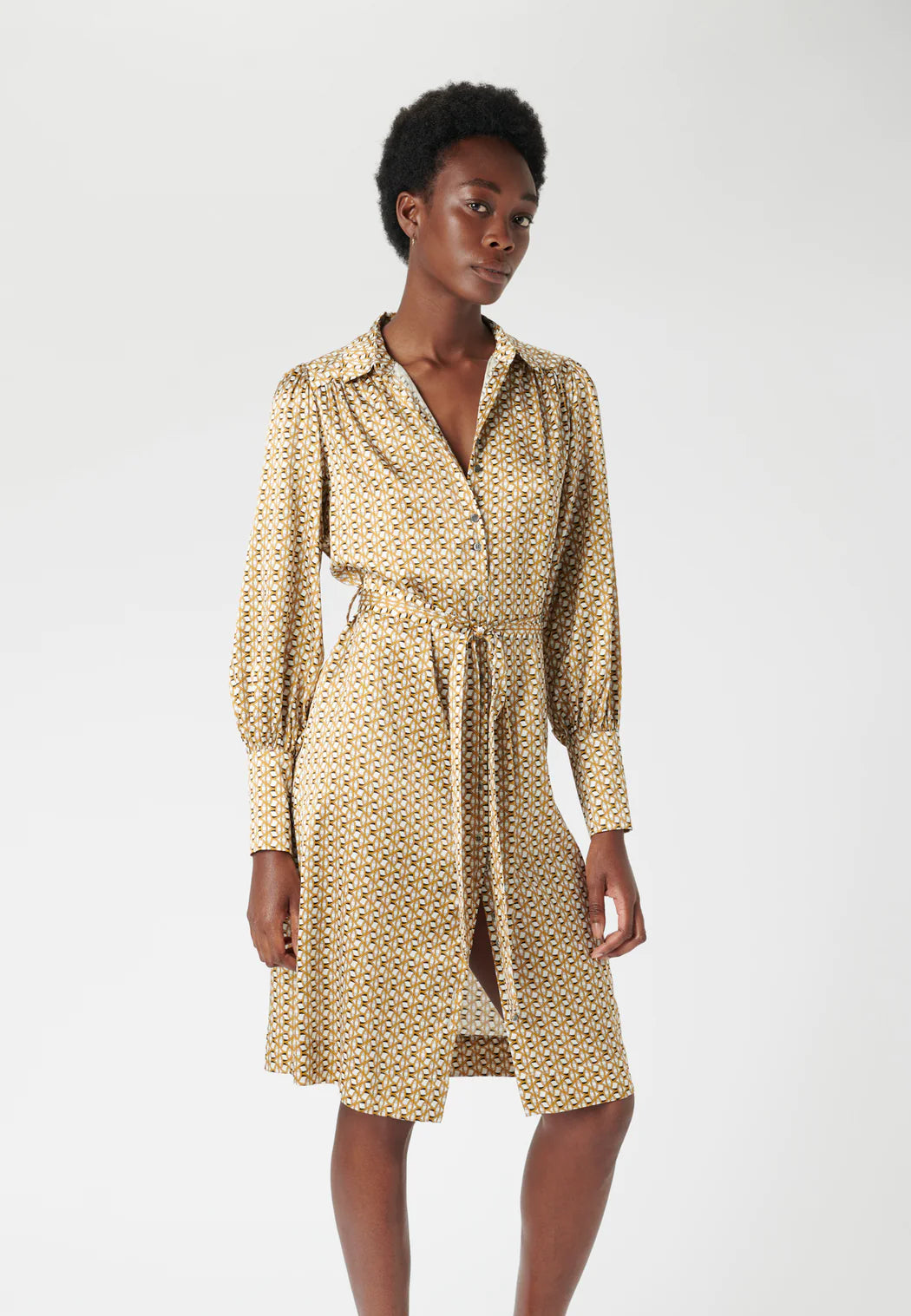 Snakeskin print sales shirt dress