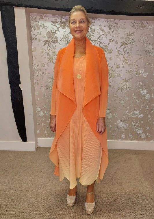 Alquema Peach Lemonade Collare Coat & Estrella Dress AC2404/AD1072L