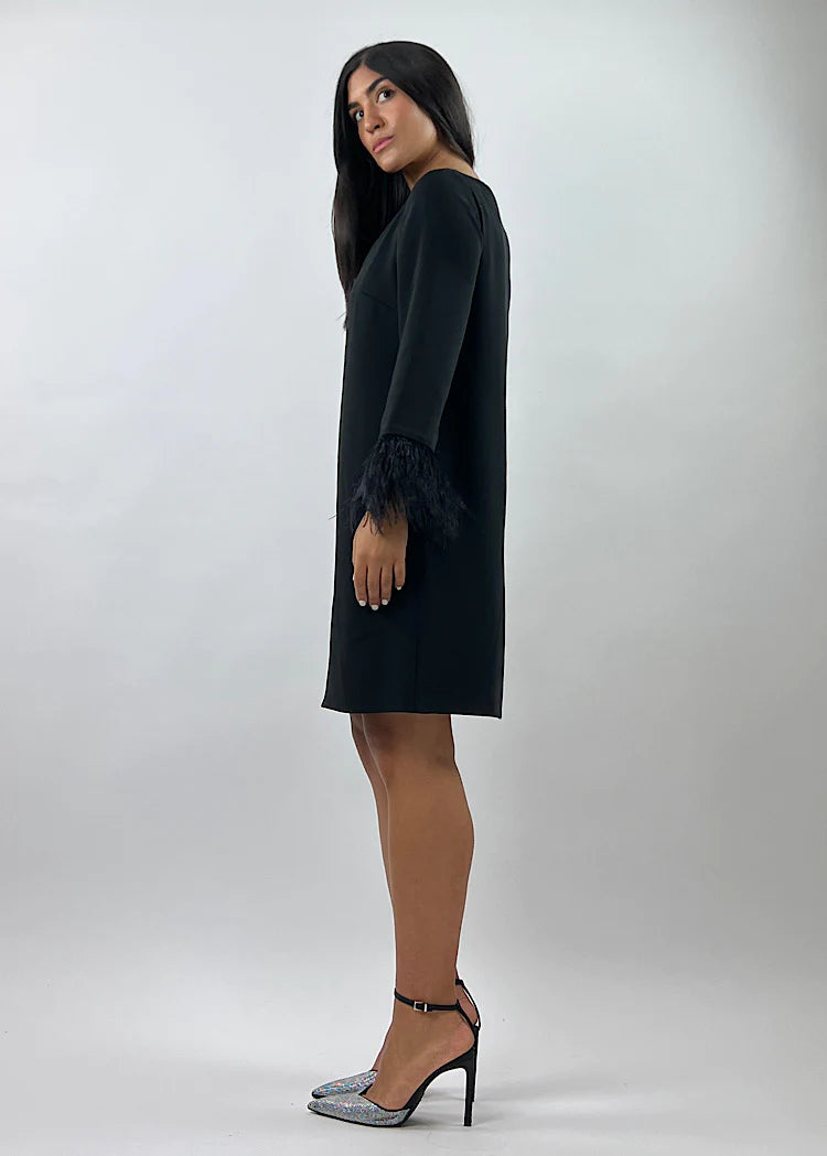 Coast amiah best sale feather dress